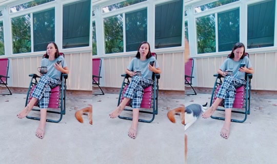 therealbeestinger TikTok Live — Aug 26, 2026, 2:12 PM
