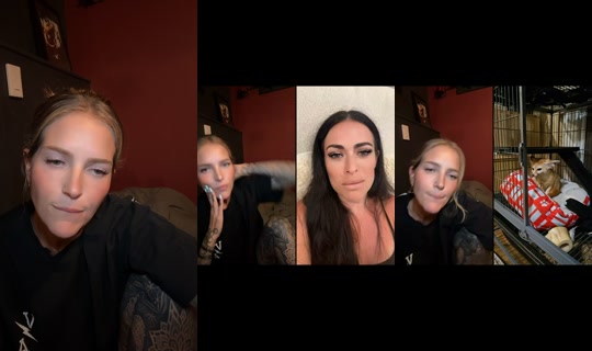 therealheathybaby TikTok Live — Aug 25, 2026, 3:03 AM