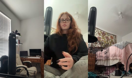 therebekahwisden TikTok Live — Sep 29, 2026, 6:21 PM