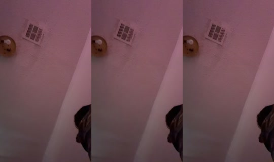 theyluvzoey2024 TikTok Live — Aug 26, 2026, 3:48 PM