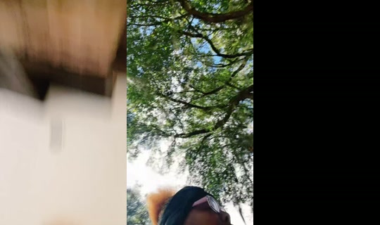 thickasshit24 TikTok Live — Sep 3, 2026, 3:58 PM