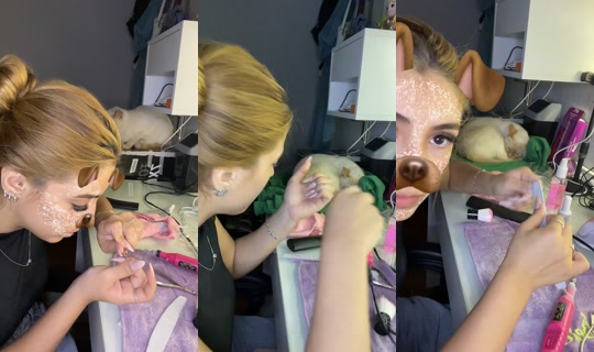 thifanyolv_ TikTok Live — Aug 25, 2026, 6:55 PM