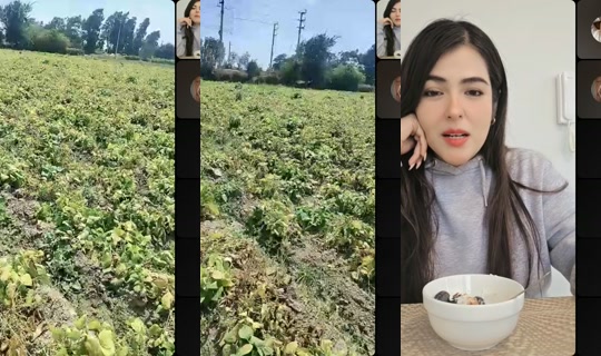 tiktok059857 TikTok Live — Aug 23, 2026, 6:16 PM