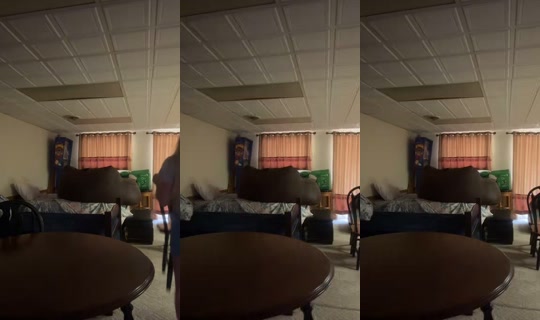 toopretty2careee3 TikTok Live — Sep 21, 2026, 4:59 PM