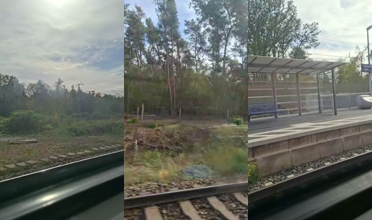 topgyal2026 TikTok Live — Sep 29, 2026, 12:06 PM