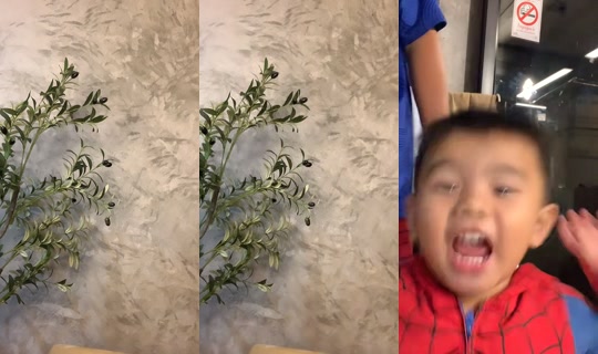 toritori.i TikTok Live — Sep 2, 2026, 3:51 PM