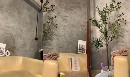 toritori.i TikTok Live — Sep 3, 2026, 1:43 PM