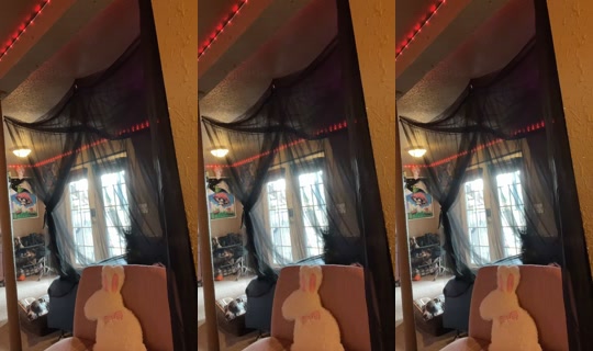 toxxicdreamzz TikTok Live — Sep 28, 2026, 8:43 PM