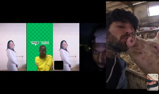 tranquillebbwallah1 TikTok Live — Sep 19, 2026, 9:01 PM