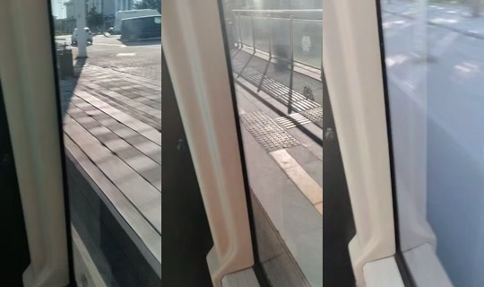 trilyonolsanharcarim TikTok Live — Sep 3, 2026, 4:46 AM