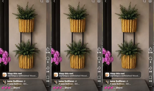 tryingmomof5 TikTok Live — Sep 24, 2026, 4:52 AM
