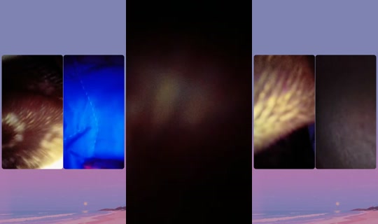 tsega.mari TikTok Live — Oct 5, 2026, 12:10 AM