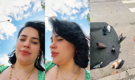 tsonami_promax TikTok Live — Sep 1, 2026, 11:04 AM