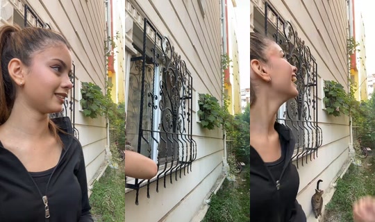 tuanaalgykk TikTok Live — Sep 21, 2026, 1:51 PM