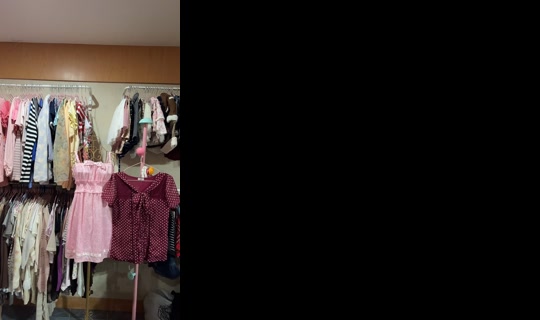 tulipgardenxoxo TikTok Live — Sep 3, 2026, 2:42 PM
