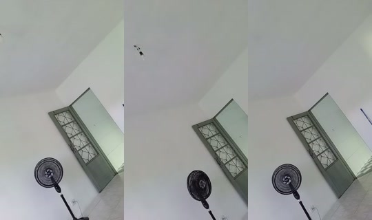 tuttibambalina TikTok Live — Oct 9, 2026, 12:13 PM