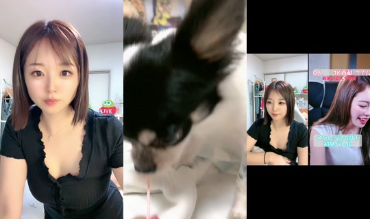 umeko0901 TikTok Live — Aug 28, 2026, 10:05 PM