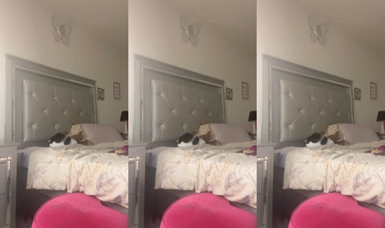 univer3e333marzs TikTok Live — Aug 23, 2026, 11:24 PM