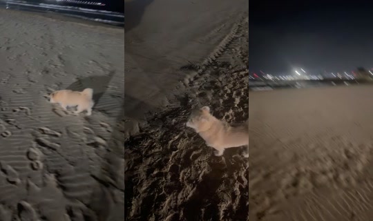 unununeb TikTok Live — Sep 21, 2026, 4:27 PM