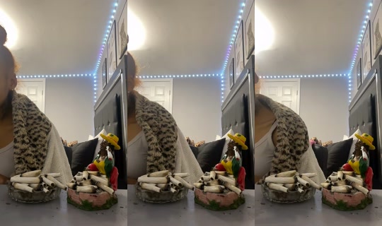 urmomnevaehh TikTok Live — Oct 7, 2026, 11:55 PM