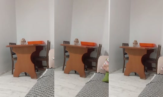 user123456789user468 TikTok Live — Sep 22, 2026, 5:51 PM
