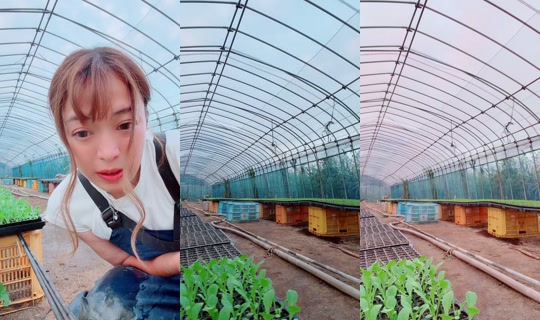 user1655128736021 TikTok Live — Oct 2, 2026, 8:37 AM