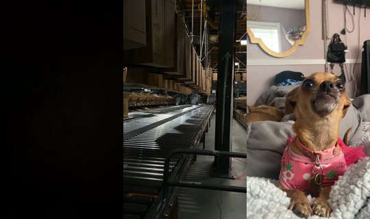 user2937287372 TikTok Live — Oct 6, 2026, 12:35 AM