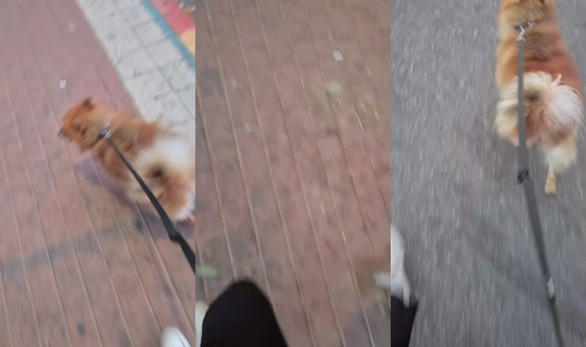 user3602409139736 TikTok Live — Aug 29, 2026, 4:12 PM