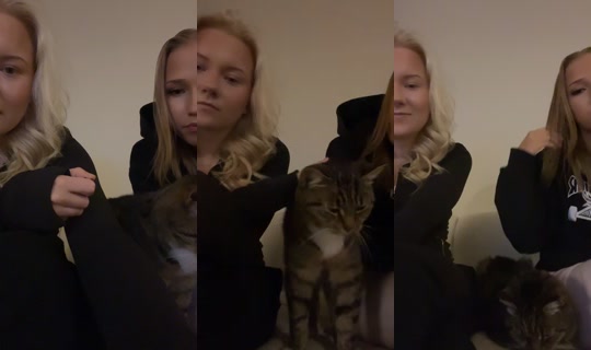 user37662871 TikTok Live — Oct 8, 2026, 5:55 PM