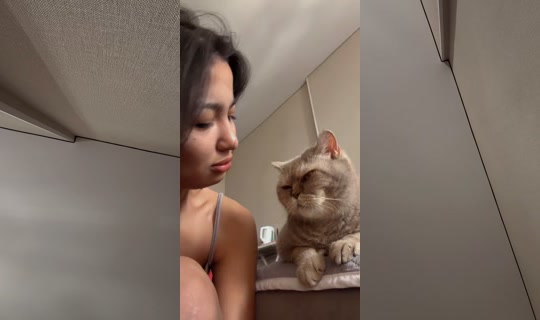 user390185604 TikTok Live — Aug 24, 2026, 5:20 AM