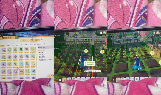 user4241749709774 TikTok Live — Sep 21, 2026, 5:30 PM