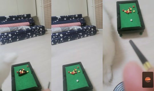 user5265993356381 TikTok Live — Aug 24, 2026, 12:57 AM