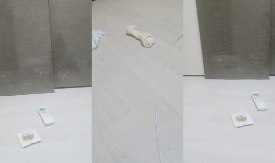 user5265993356381 TikTok Live — Aug 24, 2026, 2:39 AM