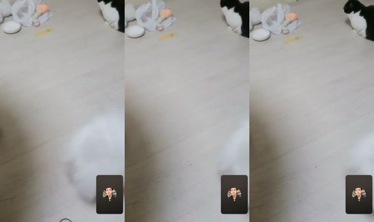 user5265993356381 TikTok Live — Aug 28, 2026, 3:49 PM