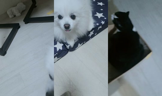 user5265993356381 TikTok Live — Aug 28, 2026, 7:53 PM