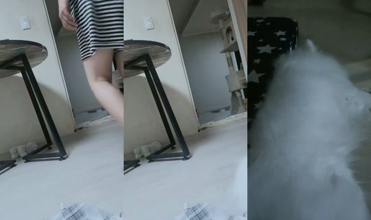 user5265993356381 TikTok Live — Aug 28, 2026, 8:58 PM