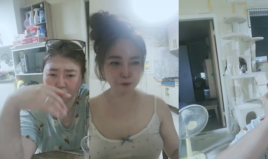 user5265993356381 TikTok Live — Oct 4, 2026, 11:01 AM