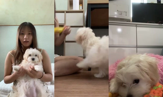 user66152153782493 TikTok Live — Sep 22, 2026, 4:40 AM