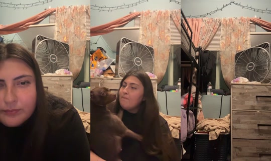 user679903217 TikTok Live — Sep 28, 2026, 6:38 AM