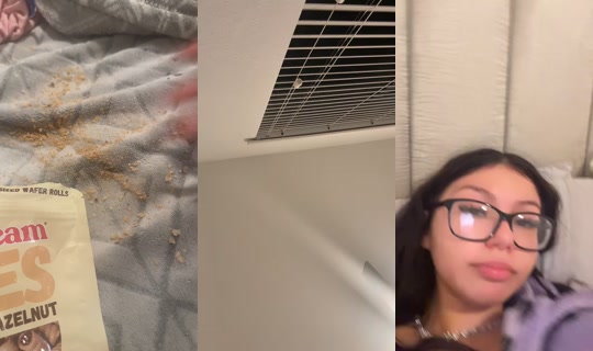 user7283838399 TikTok Live — Oct 4, 2026, 1:41 AM