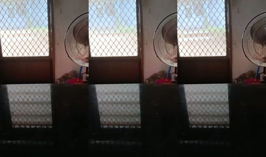 user8116134218812 TikTok Live — Sep 11, 2026, 10:42 PM