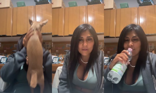 user96489731 TikTok Live — Sep 30, 2026, 7:01 PM