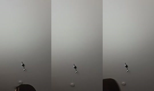 username12349291 TikTok Live — Sep 6, 2026, 11:31 PM