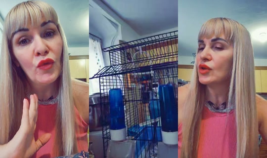 userzaw01dsb50 TikTok Live — Aug 27, 2026, 3:49 PM