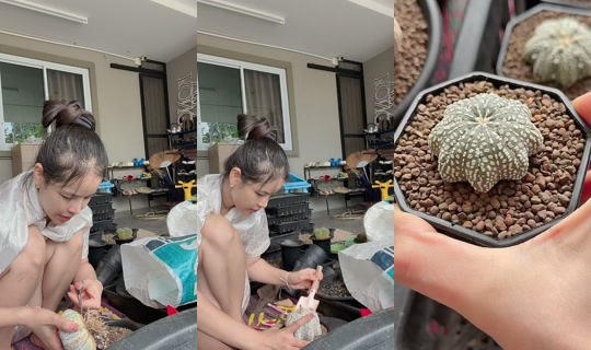 v470870 TikTok Live — Aug 30, 2026, 7:48 AM