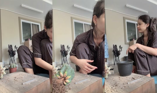 v470870 TikTok Live — Sep 12, 2026, 5:12 AM