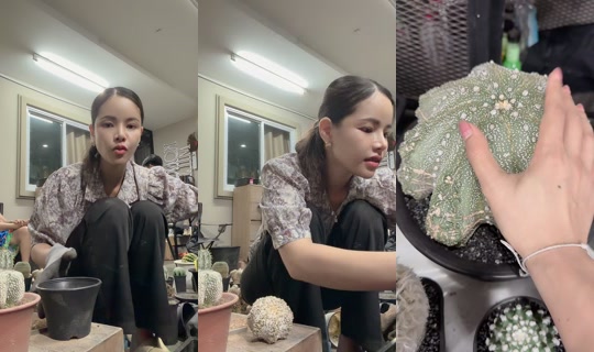 v470870 TikTok Live — Sep 12, 2026, 3:49 PM