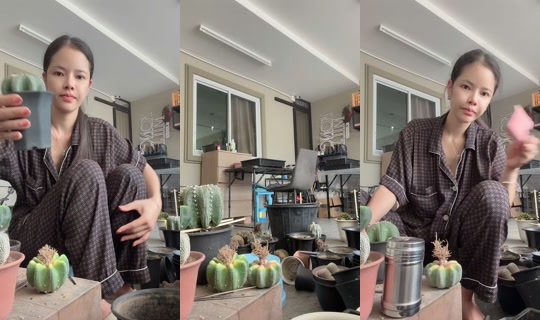v470870 TikTok Live — Sep 13, 2026, 5:21 AM