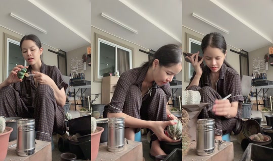 v470870 TikTok Live — Sep 13, 2026, 6:11 AM