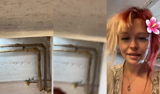 vampireofsweden.backup TikTok Live — Sep 17, 2026, 9:34 AM